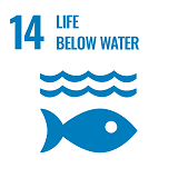 SDG Icon