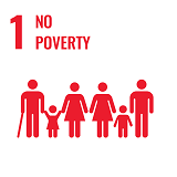 SDG Icon